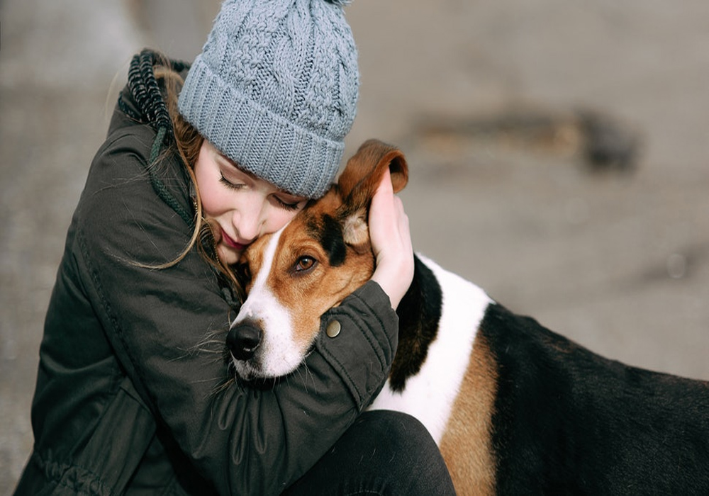 ALLOWING A NEW PET TO GET USED TO ITS OWNER