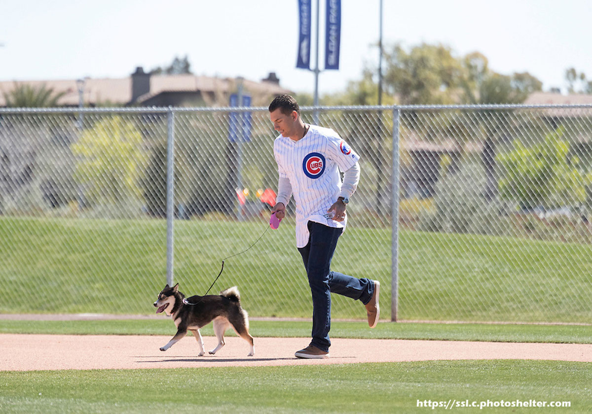 Spring Training For Your Dog