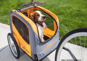 How to Attach a Dog Carrier on Your Motorcycle