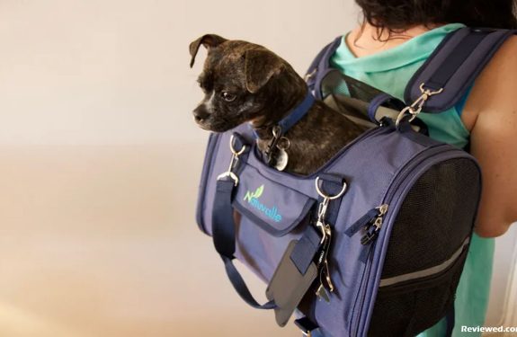 Sherpa Pet Carriers - The Premier Dog Carriers