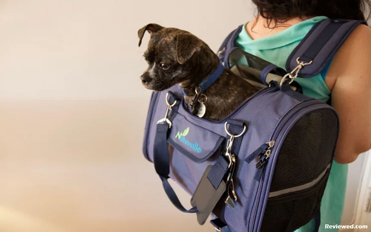 Sherpa Pet Carriers - The Premier Dog Carriers