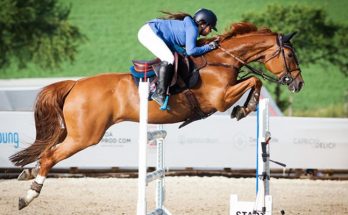 Types of Horse Jumping Courses