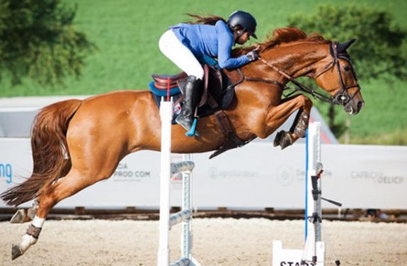 Types of Horse Jumping Courses