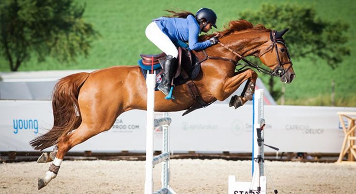 Types of Horse Jumping Courses