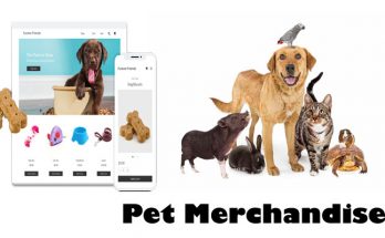 How Can you Start an internet Pet Store Selling Pet Merchandise?