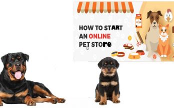 The Straightforward Technique to Get started a web-based Pet Store