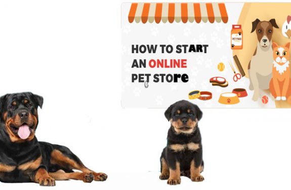 The Straightforward Technique to Get started a web-based Pet Store