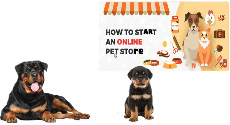 The Straightforward Technique to Get started a web-based Pet Store