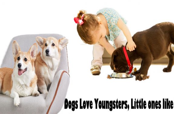 Dogs Love Youngsters, Little ones like Dogs