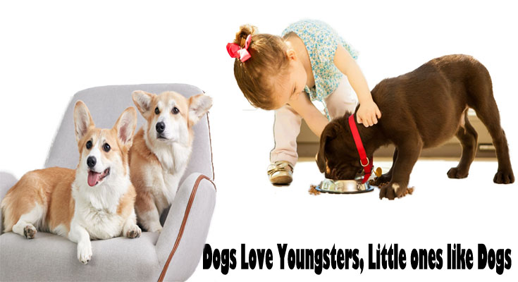 Dogs Love Youngsters, Little ones like Dogs