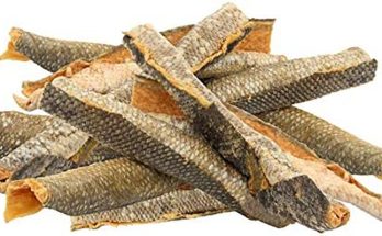 Top 5 Reasons Why Salmon Skin is Good for Dogs