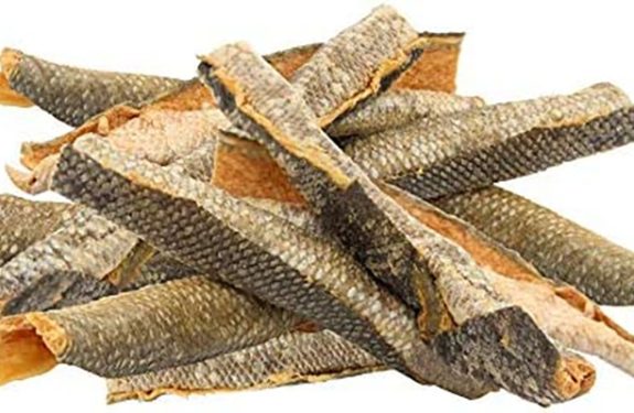 Top 5 Reasons Why Salmon Skin is Good for Dogs