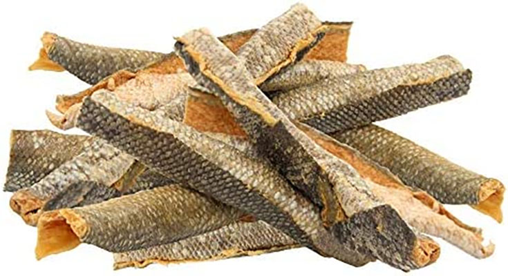 Top 5 Reasons Why Salmon Skin is Good for Dogs