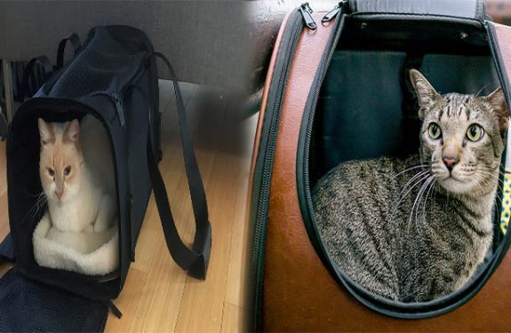 Cat Bag Carrier