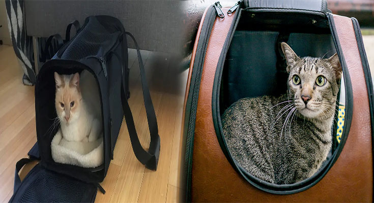 Cat Bag Carrier