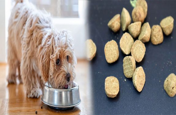 Chewy Dog Food Review