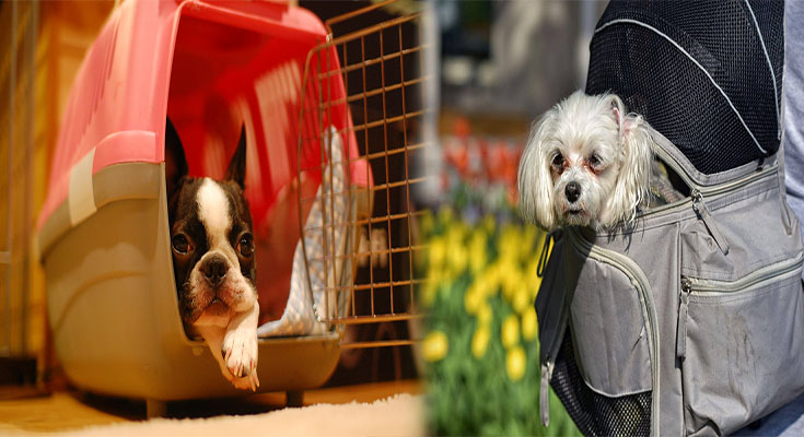 How to Choose a Quality Small Dog Carrier