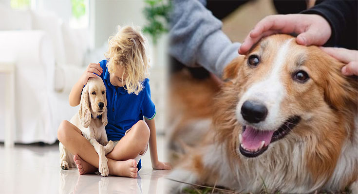 Pet Care for Kids