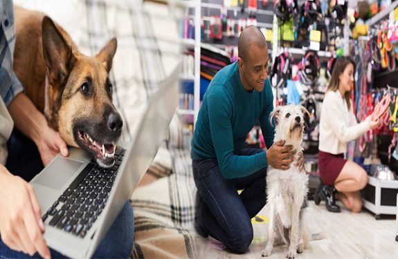 Why Chewy Is The Best Pet Supply Store