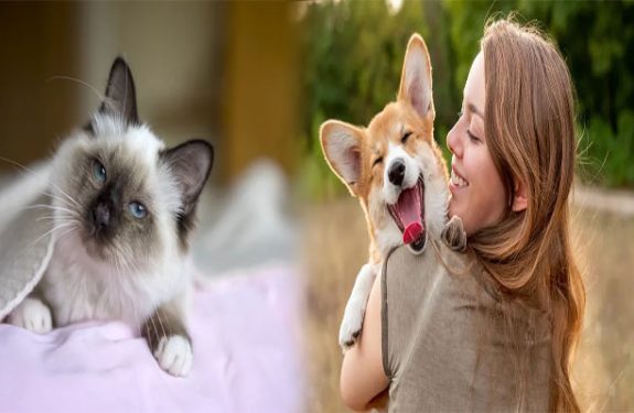 Best Exotic Pets for First-Time Owners and Enthusiasts