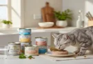 Best High-Protein Wet Food for Senior Cats with Kidney Issues