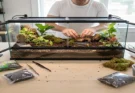 How to build a bioactive terrarium for crested geckos