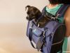Sherpa Pet Carriers - The Premier Dog Carriers