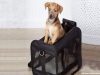 The Truths About Pet Carriers